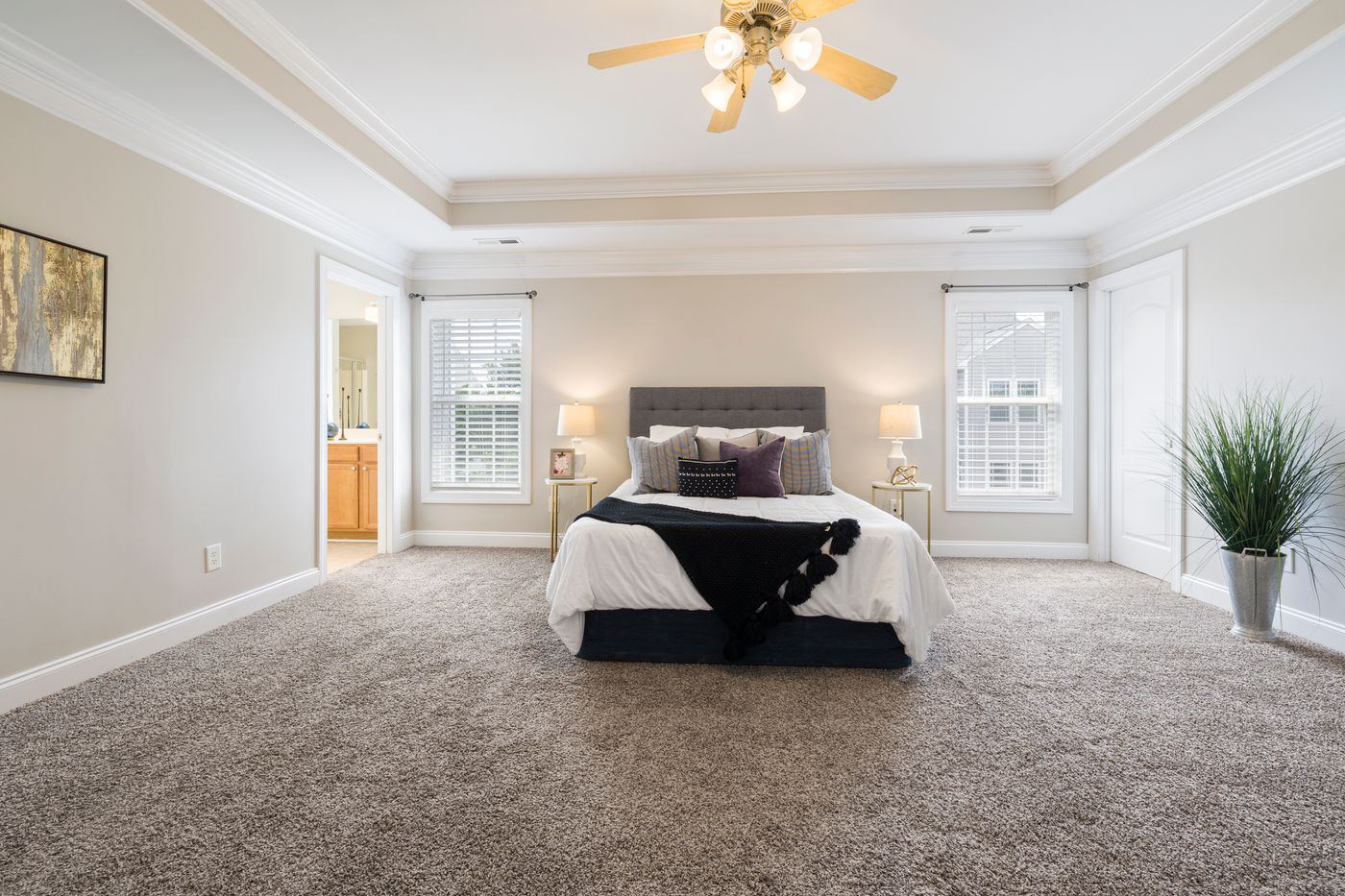 Cozy Comfort